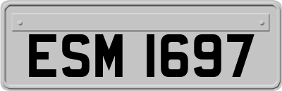 ESM1697