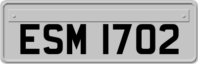 ESM1702