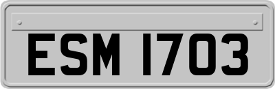 ESM1703