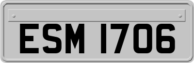 ESM1706