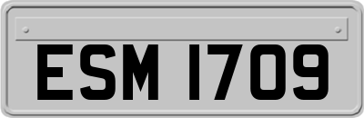 ESM1709