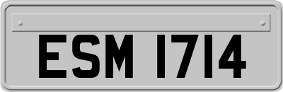 ESM1714