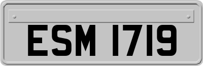 ESM1719