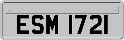 ESM1721