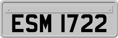 ESM1722