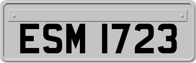ESM1723