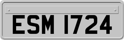 ESM1724