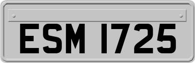 ESM1725