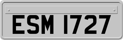 ESM1727