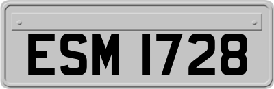 ESM1728