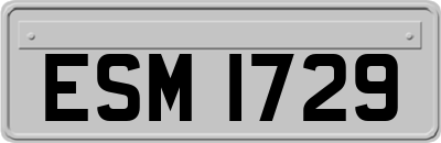 ESM1729