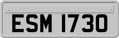 ESM1730
