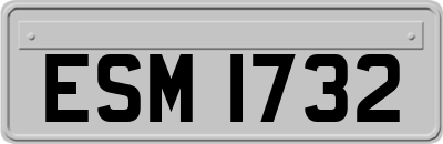ESM1732