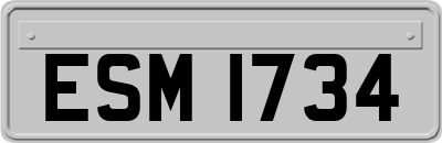 ESM1734