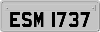ESM1737