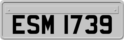 ESM1739