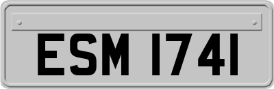 ESM1741