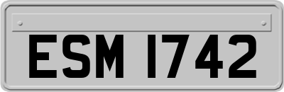 ESM1742