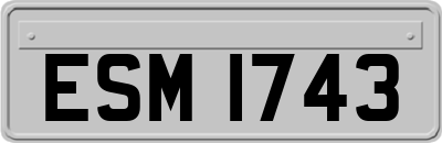 ESM1743