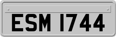 ESM1744