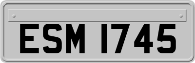 ESM1745