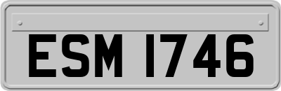 ESM1746
