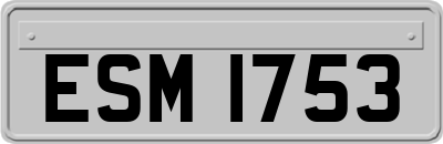 ESM1753