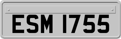ESM1755