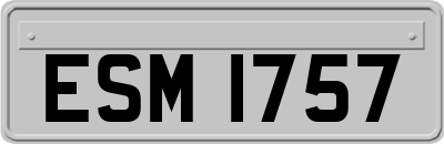 ESM1757