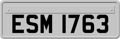 ESM1763