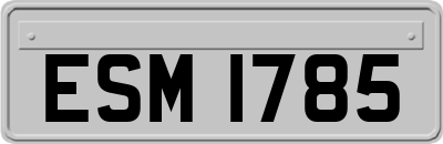 ESM1785