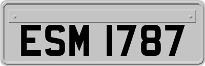 ESM1787
