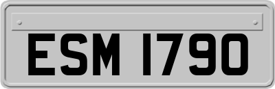 ESM1790