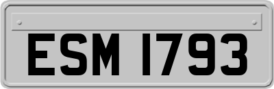 ESM1793
