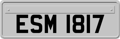 ESM1817