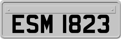 ESM1823