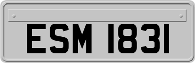 ESM1831