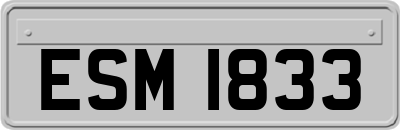 ESM1833