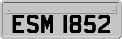 ESM1852