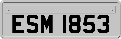 ESM1853