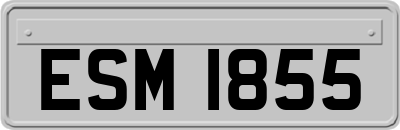 ESM1855