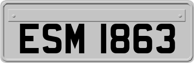 ESM1863