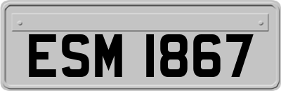 ESM1867