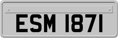 ESM1871
