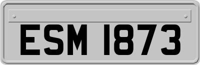 ESM1873