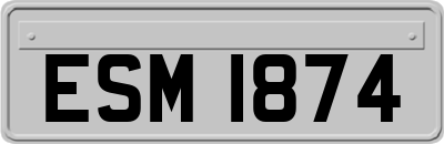 ESM1874