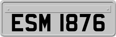 ESM1876