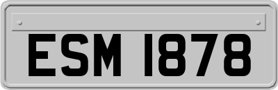 ESM1878