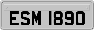 ESM1890