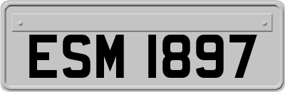 ESM1897